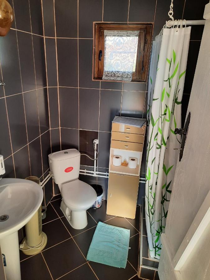 Guest House Rose Smederevska Palanka Extérieur photo