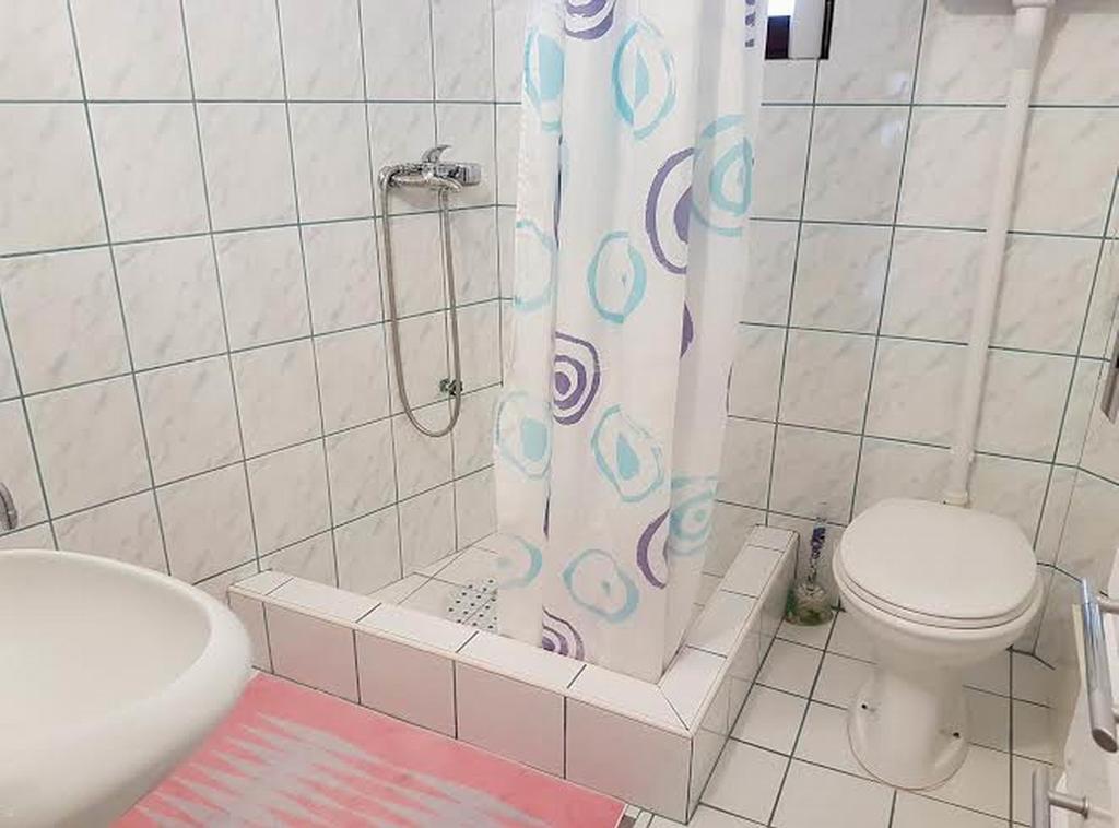 Guest House Rose Smederevska Palanka Extérieur photo