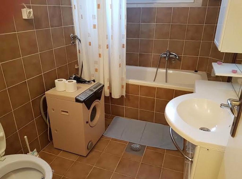 Guest House Rose Smederevska Palanka Extérieur photo